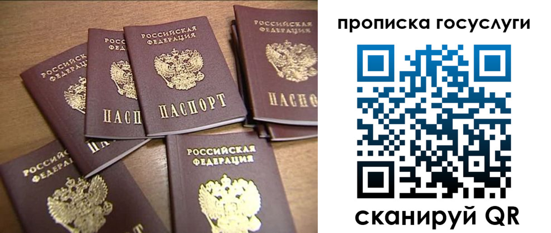 прописка ребенка в Корсакове